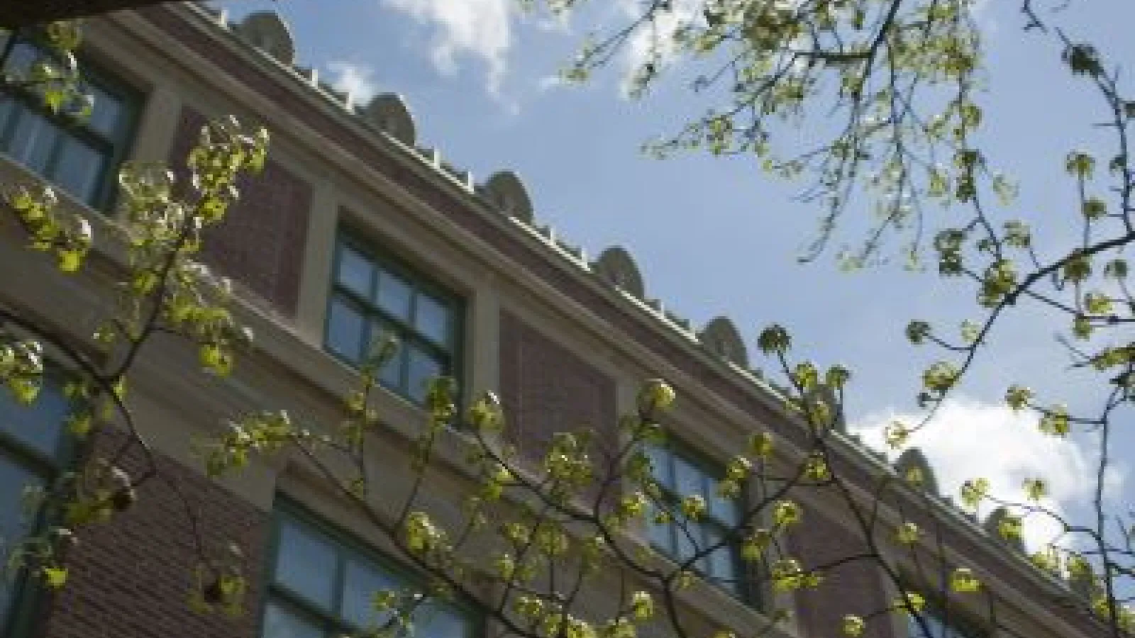 A view of Cockins Hall from below