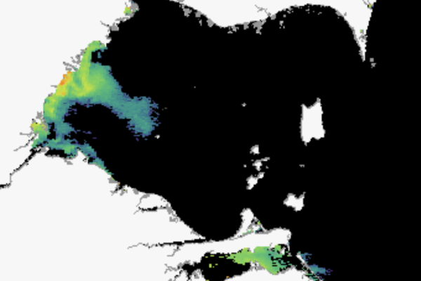 Lake Erie algae
